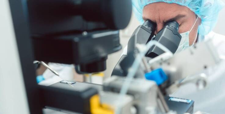 Rola fibroblastów w procesie liftingu twarzy