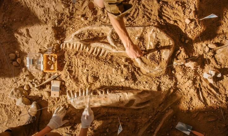 Przegląd nowoczesnych technologii w pracach archeologicznych