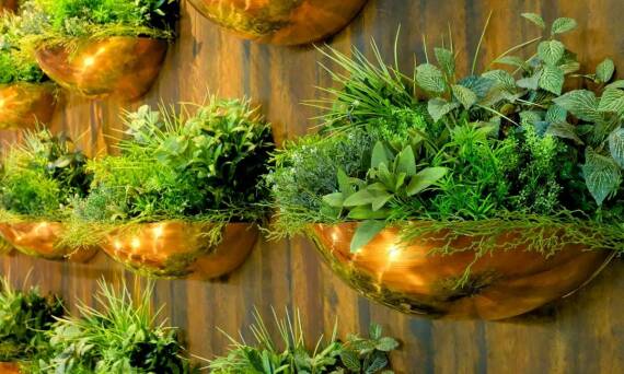 Jakie rośliny wybiera firma ogrodnicza do projektów relaksacyjnych?