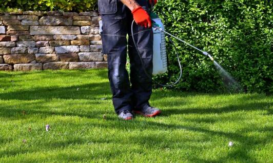 Profesjonalne nawożenie jako kluczowy element pielęgnacji trawnika