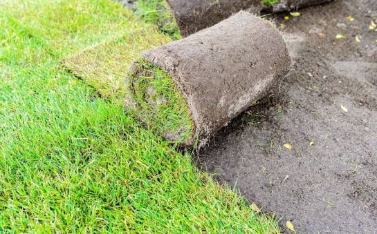 Rola trawników w rolkach w aranżacji przestrzeni rekreacyjnych