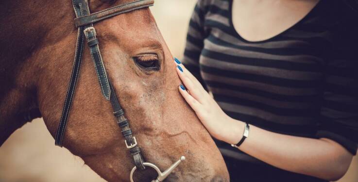 Wybór najlepszej rasy konia na wczasy z jazdami konnymi - co warto wiedzieć?