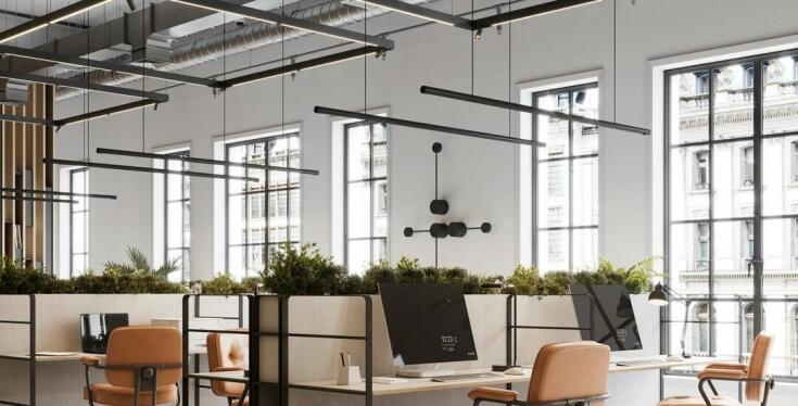 Estetyka i funkcjonalność zielonych aranżacji w przestrzeniach coworkingowych