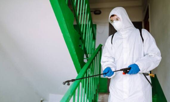 Jakie są najczęstsze miejsca, gdzie firma usuwa gniazda szerszeni?