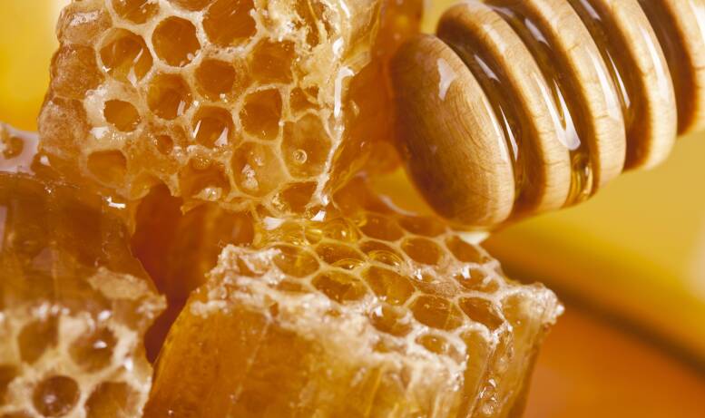 Czy miód jest tuczący i kaloryczny? Obalamy mity na temat tego naturalnego słodzika.