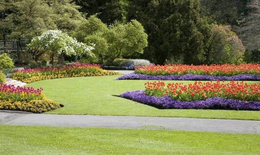 Profesjonalna aranżacja ogrodów w Mławie – co warto wiedzieć?