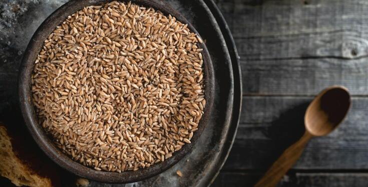 Naturalne smaki aronii i siemienia lnianego w Twojej kuchni