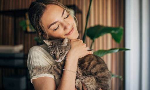 Rola opiekuna w codziennej rutynie kota w warszawskim hotelu