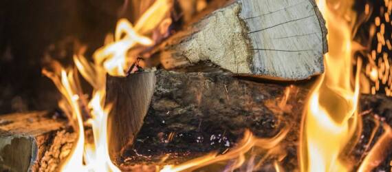 Rozpalka sosnowa: kluczowe korzyści dla środowiska i domowego budżetu