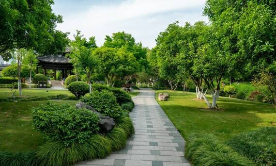 Aranżacja ogrodów: jak dostosować projekt do lokalnego klimatu