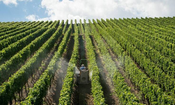 Nowoczesne technologie w opryskiwaczach elektrycznych: co warto wiedzieć?