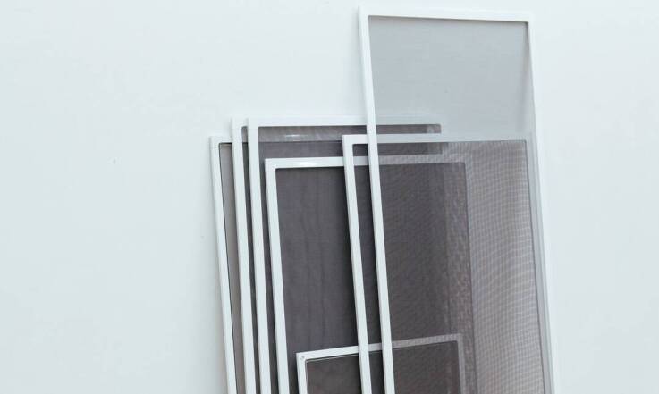 Czy moskitiery chronią przed myszami?