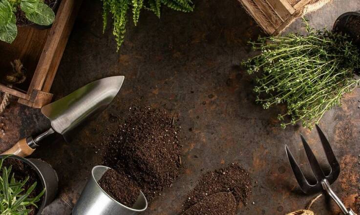 Innowacyjne technologie w narzędziach ogrodniczych – co warto wiedzieć?