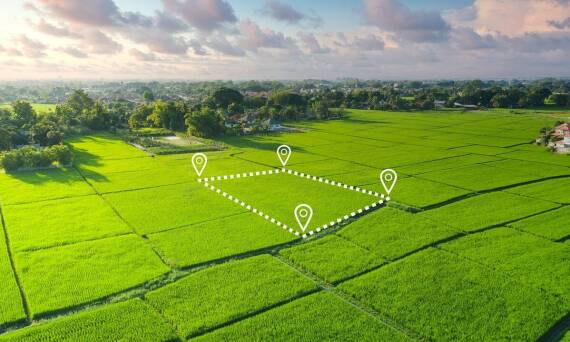 Jak geodeta ustala przebieg granic działek ewidencyjnych?