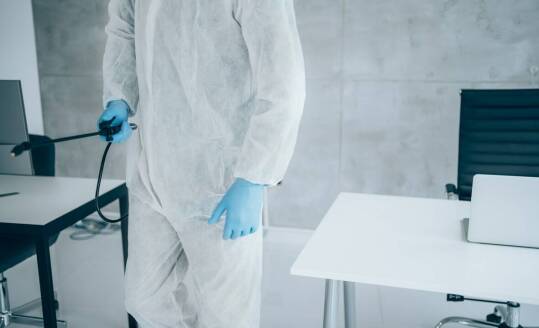 Prusaki a biura: jak zapewnić higieniczne warunki pracy?