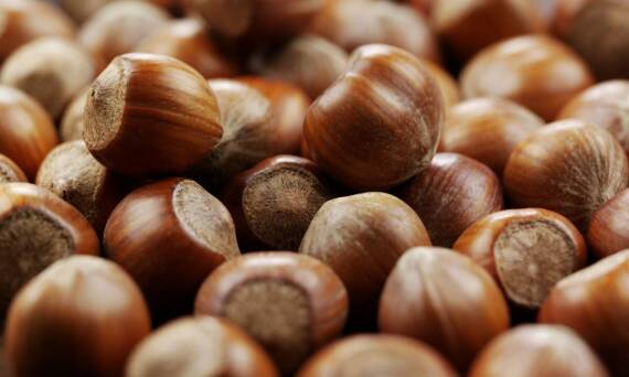 Dlaczego suszone wytłoki z czarnej porzeczki są idealnym dodatkiem do herbat owocowych?