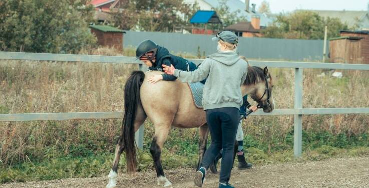 Codzienna opieka w pensjonacie dla koni – co oferujemy?