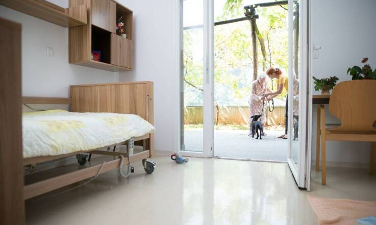 Jakie środki czystości stosuje hotelik dla zwierzaków w Łodzi?