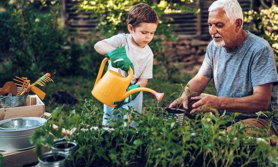 Jakie są korzyści z posiadania własnego ogrodu przy domu?