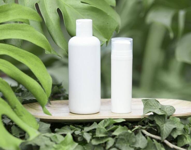 Ochrona ogórków przed chorobami grzybowymi: kluczowe strategie