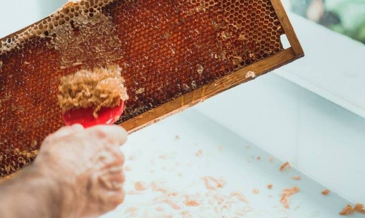 Miód prosto z pasieki - naturalna alternatywa dla cukru