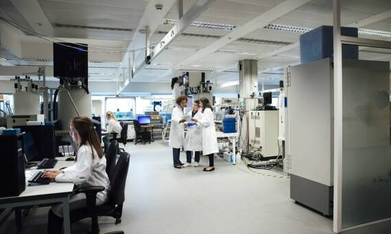 Rola zespołu w efektywnym pobieraniu próbek do badań