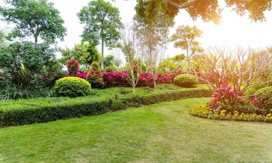 Systemy nawadniania a pielęgnacja zieleni – jak zapewnić optymalne warunki?