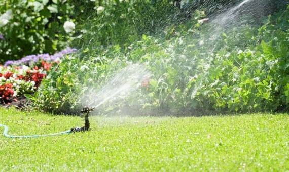 Jak systemy nawadniania wspierają rozwój roślin w trudnych warunkach klimatycznych?