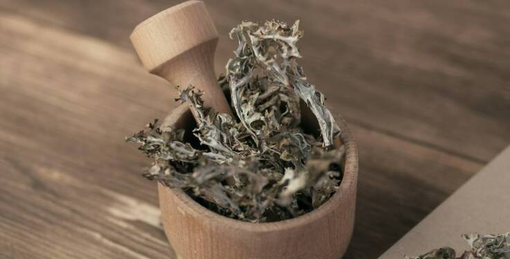 Suszone zioła jako element zdrowej diety – które wybrać?