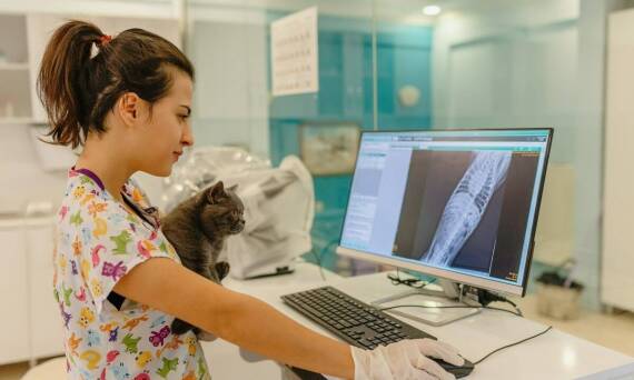 Diagnostyka obrazowa w ocenie zdrowia układu pokarmowego