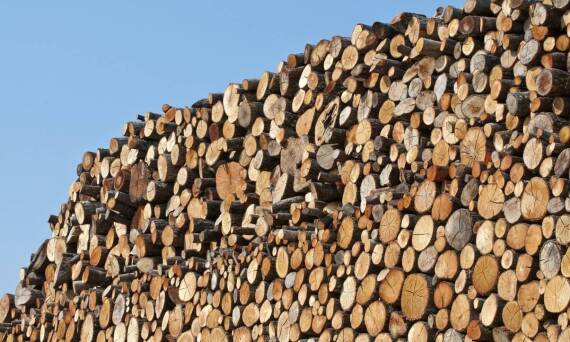 Zalety drewna opałowego w kontekście sezonowania i spalania