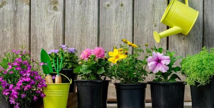 Wybór artykułów ogrodniczych do automatycznych systemów nawadniających