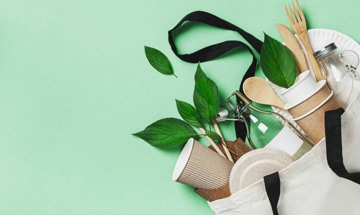 Znaczenie biodegradowalnych opakowań kartonowych w ochronie środowiska