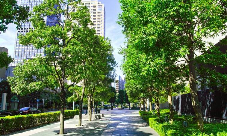 Prefabrykaty betonowe w projektach rewitalizacji przestrzeni publicznych