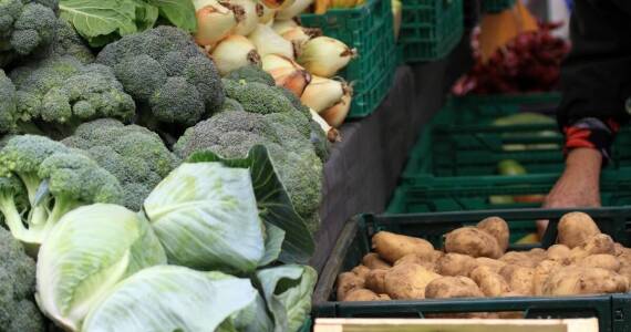 Znaczenie testów fitosanitarnych w produkcji warzyw: perspektywa dolnośląska