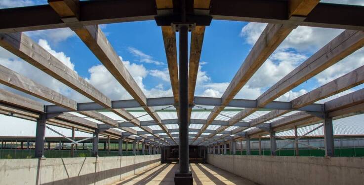 Jak kominy wentylacyjne poprawiają jakość powietrza w oborze?