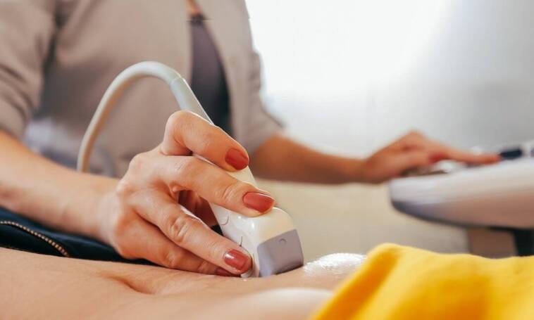 Które organy są badane w trakcie USG jamy brzusznej?