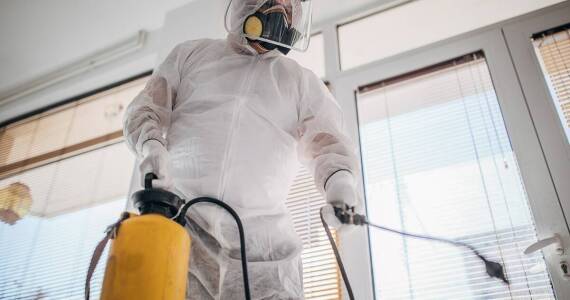 Profilaktyka w dezynsekcji – jak unikać problemów ze szkodnikami?