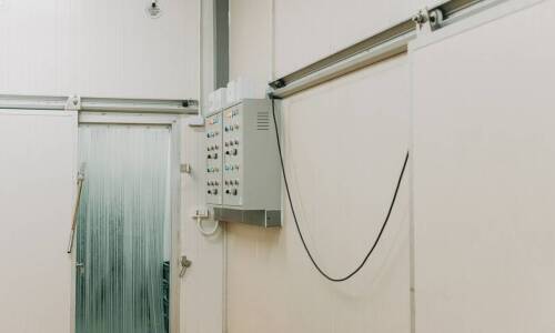 Jakie korzyści ekonomiczne niesie inwestycja w nowoczesny inkubator?