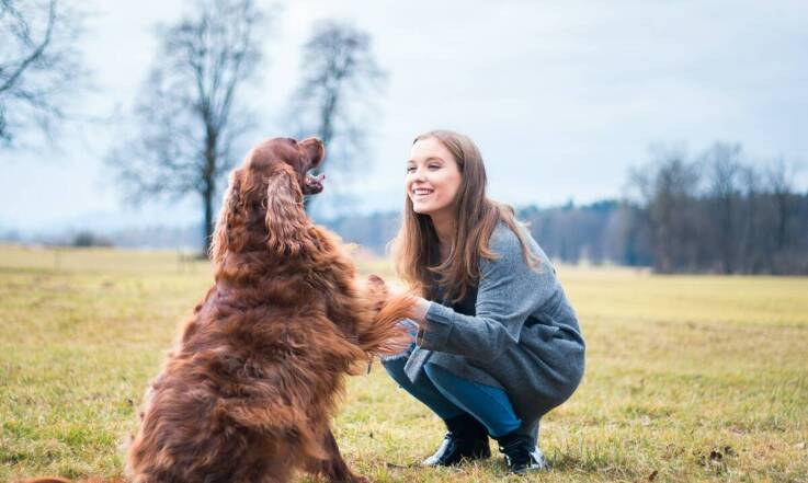 W jaki sposób szkolenia psów mogą poprawić ich zdrowie psychiczne i fizyczne?