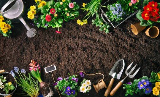Sztuka zakładania ogrodów: Kluczowe etapy i techniki wykonania