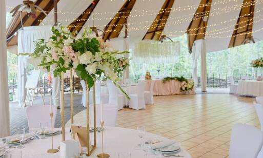 Organizacja ślubu i wesela krok po kroku z pomocą Domu weselnego