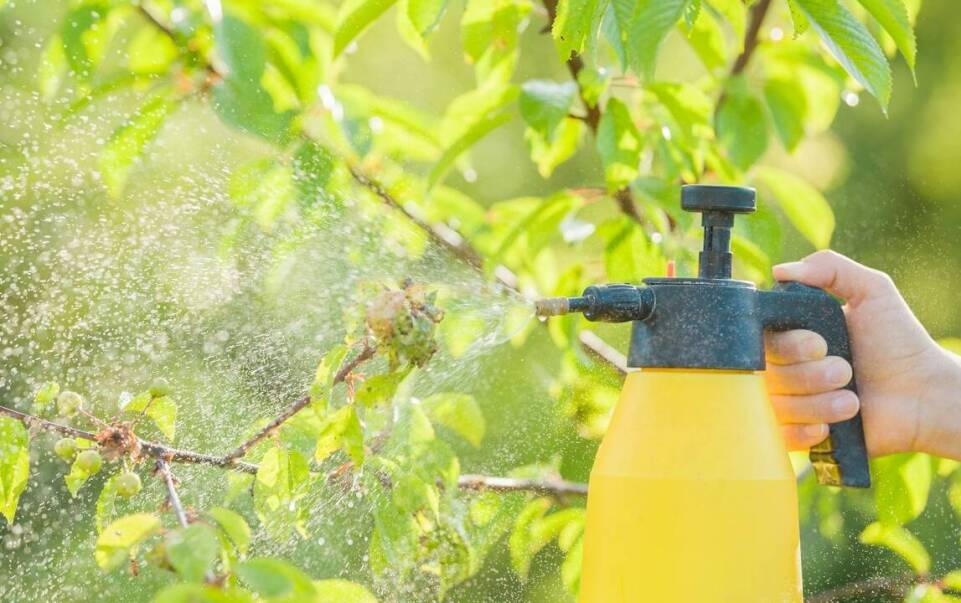 Optymalizacja pracy w ogrodzie dzięki opryskiwaczowi ciśnieniowemu ręcznemu