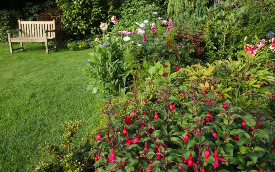 Jak porzeczki wpływają na estetykę i funkcjonalność ogrodu?