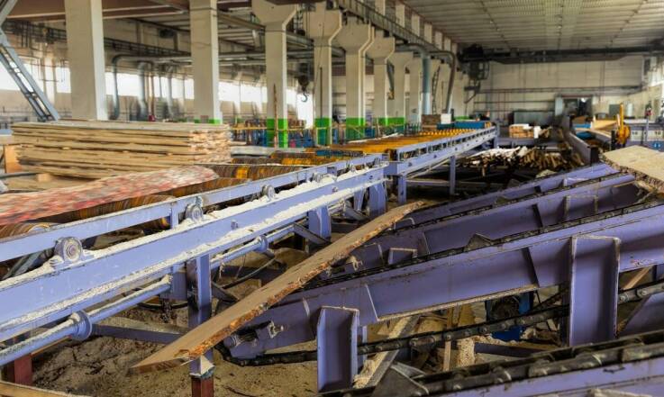 Znaczenie skupu odpadów drzewnych dla ochrony zasobów naturalnych