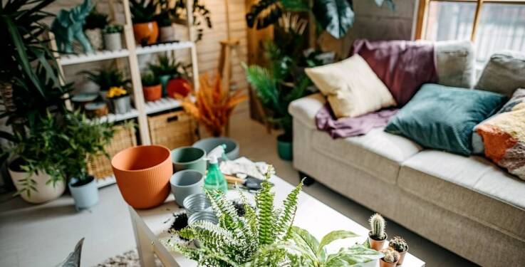 Jakie akcesoria do elektronarzędzi ogrodowych są niezbędne dla każdego ogrodnika?