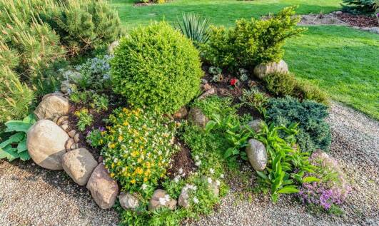 Fachowe doradztwo w wyborze idealnych roślin do ogródków skalnych w sklepie z nasionami
