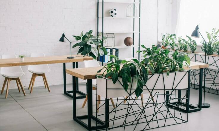 W jaki sposób neutralizatory promieniowania mogą poprawić koncentrację i wydajność?