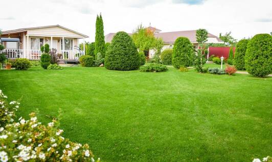 Jakie etapy obejmuje proces zakładania trawników w ogrodach przydomowych?