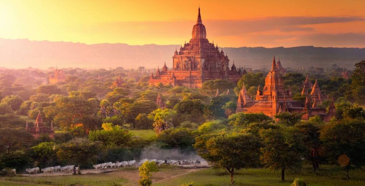 Luksusowe safari w Tanzanii: Jak zorganizować niezapomnianą wyprawę?